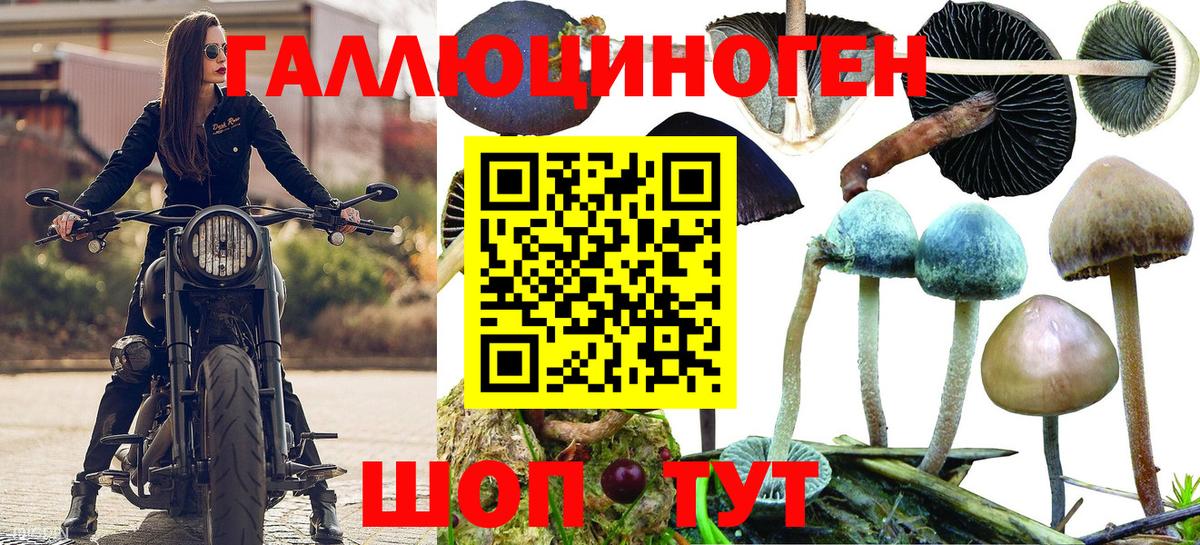 Барнаул  Галлюциногенные грибы мицелий  Вход с VPN 