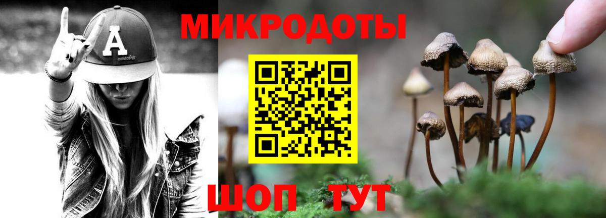 Псилоцибиновые грибы GOLDEN TEACHER Барнаул
